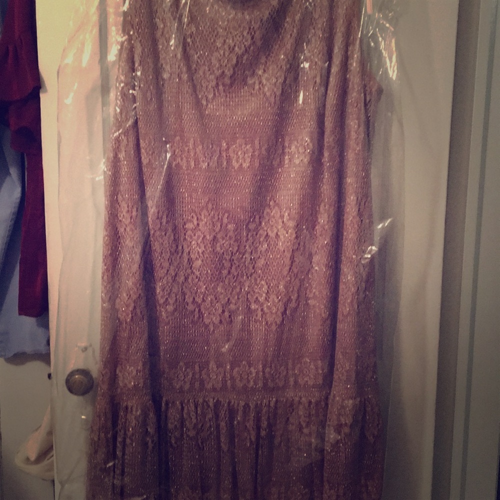 Beautiful Dress  shimmering silver and gold.